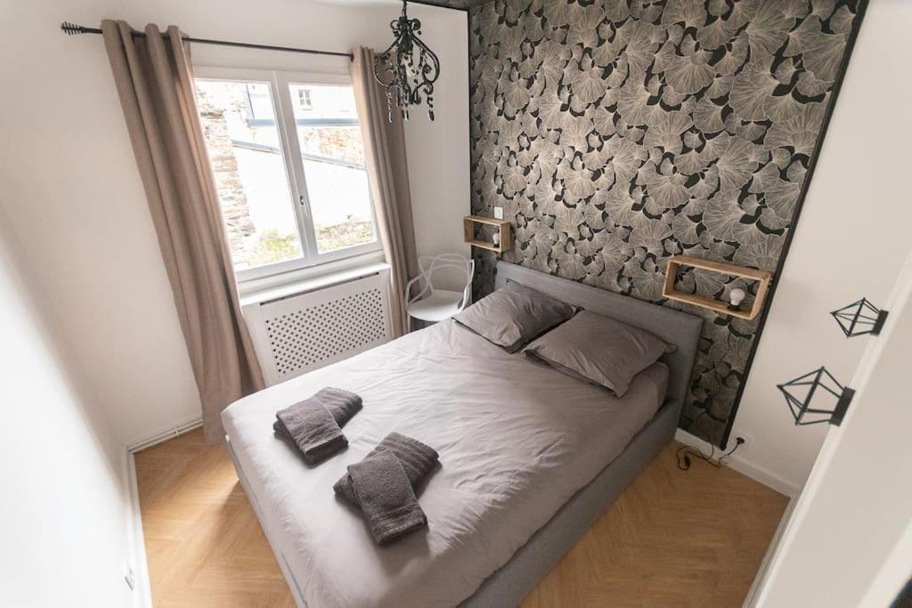 Le Cabinet De Curiosite - La Bonne Marienne Apartment Angers