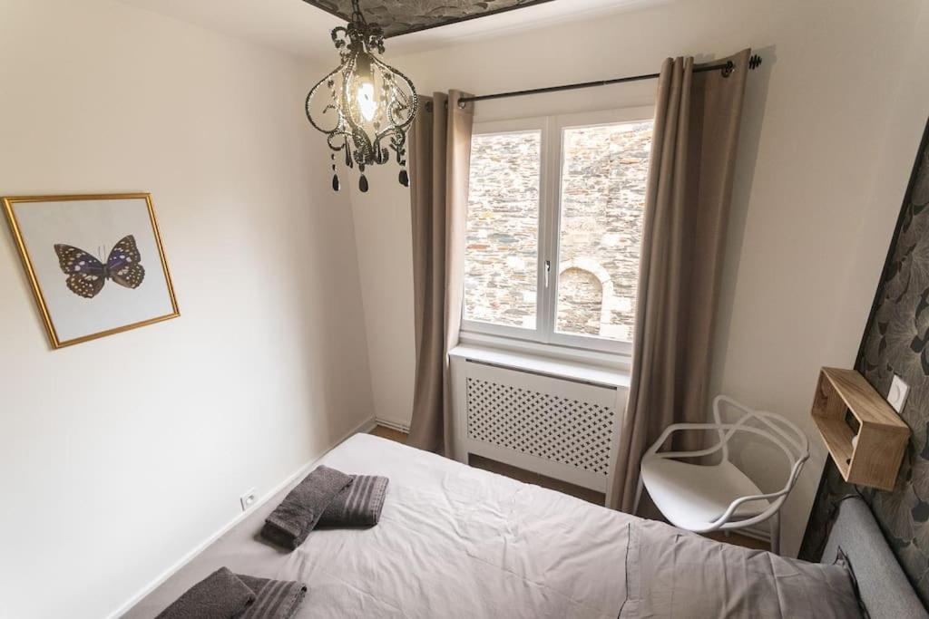 Le Cabinet De Curiosite - La Bonne Marienne Apartment Angers